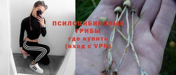 альфа пвп Богородицк
