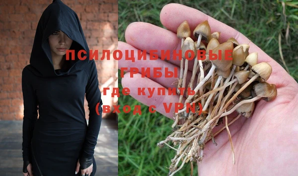 экстази Богданович