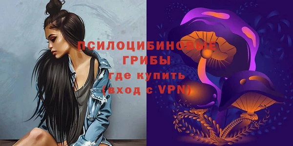 дмт Богородск