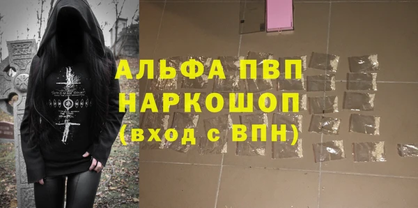 стафф Бородино