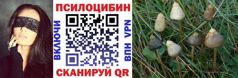 Галлюциногенные грибы Magic Shrooms Дальнегорск
