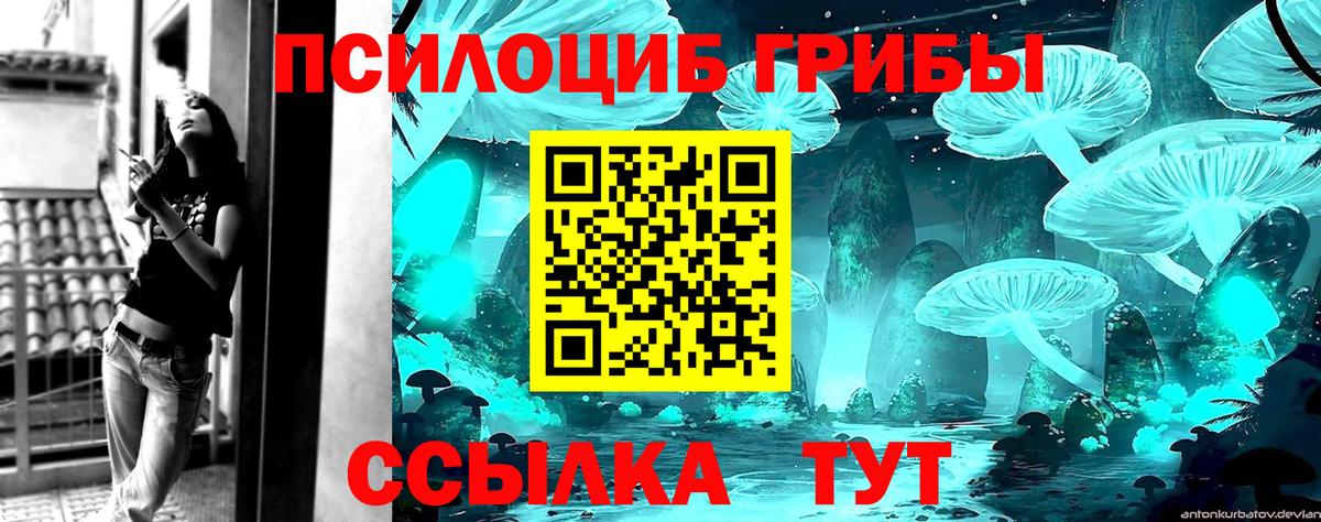 Дальнегорск  Псилоцибиновые грибы Cubensis  Вход с VPN 