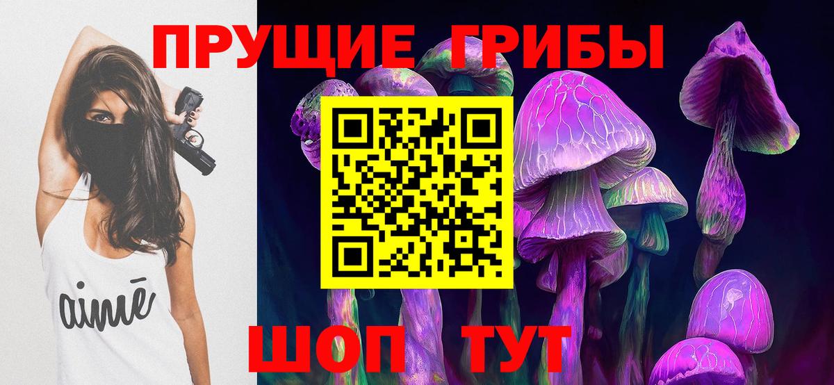 Псилоцибиновые грибы мицелий Дальнегорск